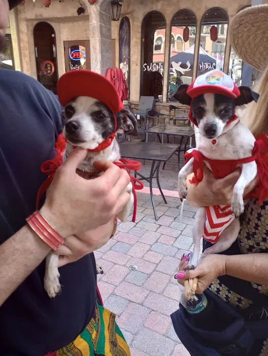 Dexters Pet Boutique Picture 7