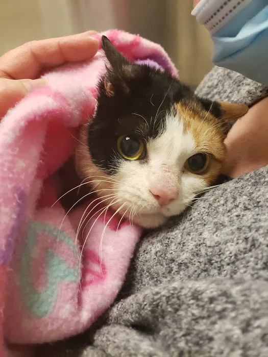 Alpha Veterinary Care Picture 2