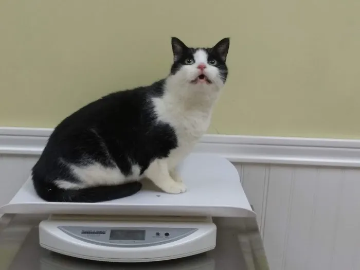 Alpha Veterinary Care Picture 5