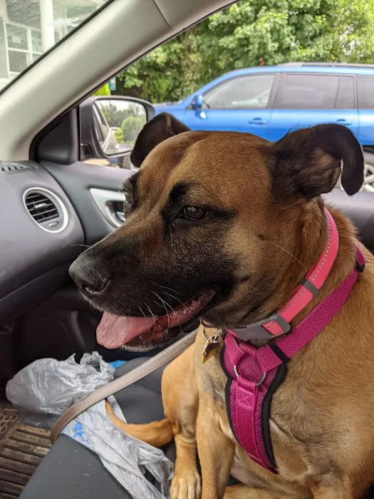 Alpha Veterinary Care Picture 7