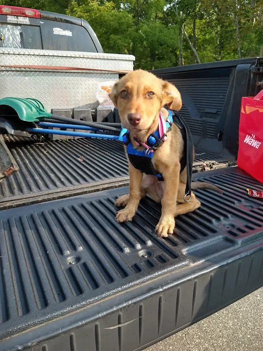 Alpha Veterinary Care Picture 8