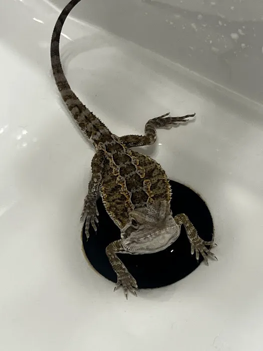 Petco Picture 2