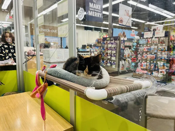 Petco Picture 3