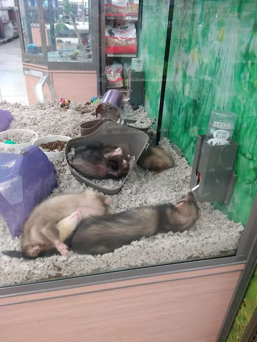 Petco Picture 5