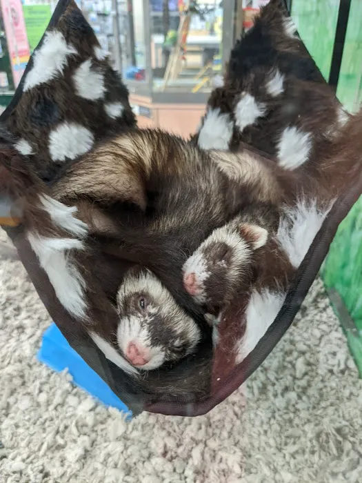 Petco Picture 7