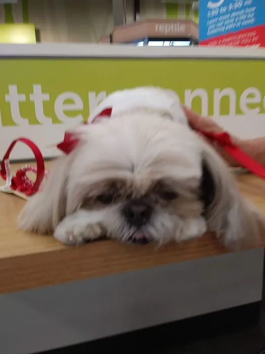 Petco Picture 9