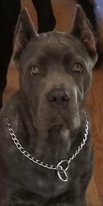 Phillipsburg Veterinary Clinic Picture 1