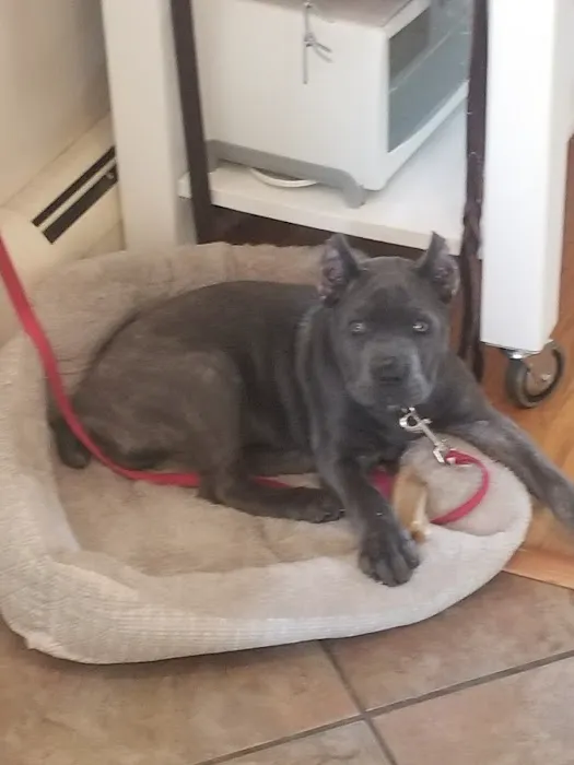 Phillipsburg Veterinary Clinic Picture 2