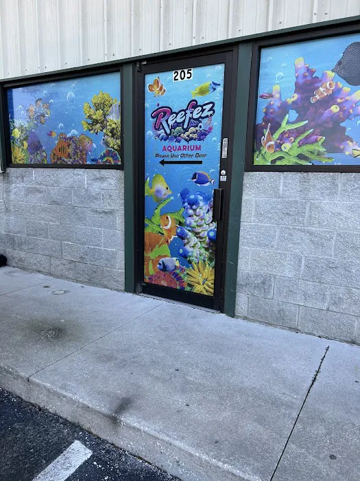 Reefez Aquarium Picture 3