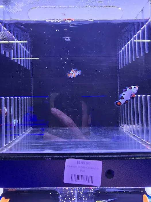 Reefez Aquarium Picture 1