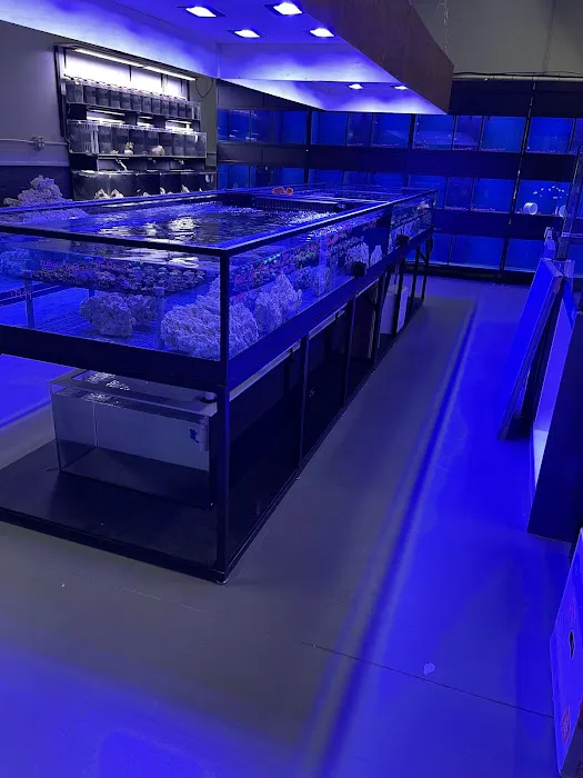 Reefez Aquarium Picture 6
