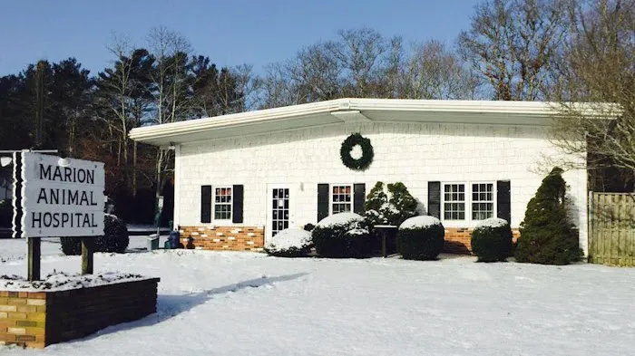 Marion Animal Hospital Picture 1