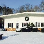 Marion Animal Hospital