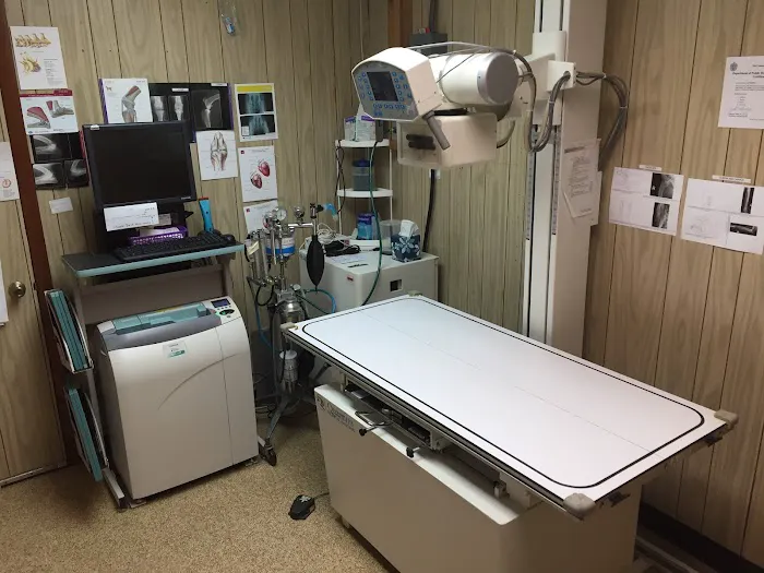 Marion Animal Hospital Picture 4