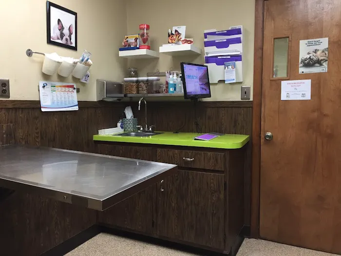 Marion Animal Hospital Picture 5
