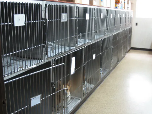 Marion Animal Hospital Picture 10
