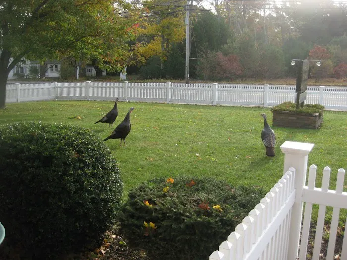 Marion Animal Hospital Picture 9