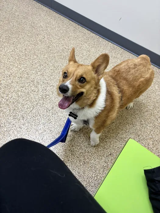 Marion Animal Hospital Picture 8