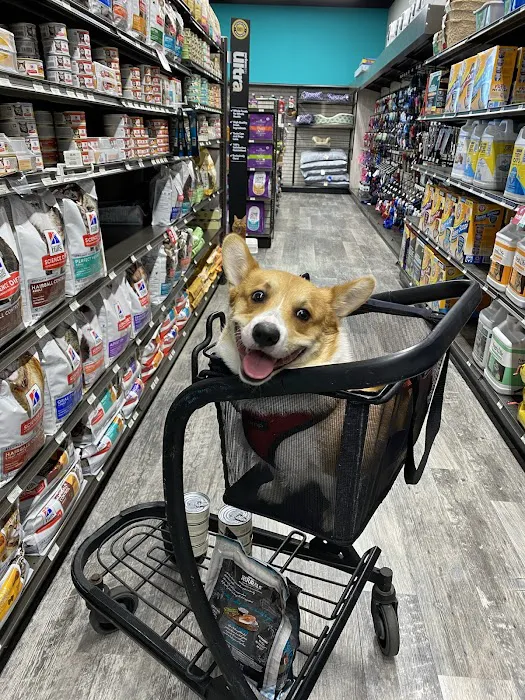 Pet Supermarket Picture 2