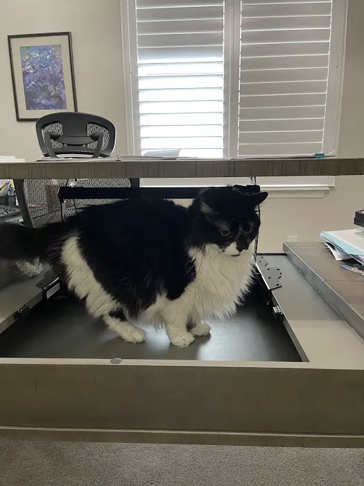 Pet Supermarket Picture 10