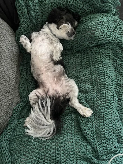 Woodland Animal Clinic Picture 1