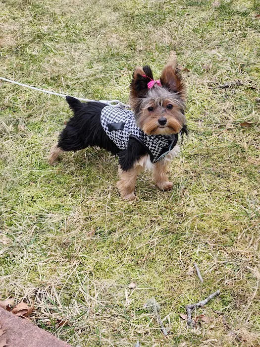 Woodland Animal Clinic Picture 2