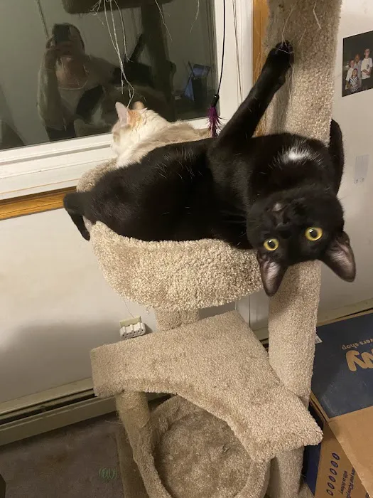 Woodland Animal Clinic Picture 10