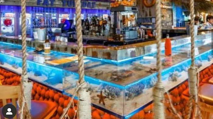 Suncoast Aquarium Inc Picture 1