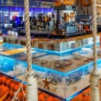 Suncoast Aquarium Inc ico