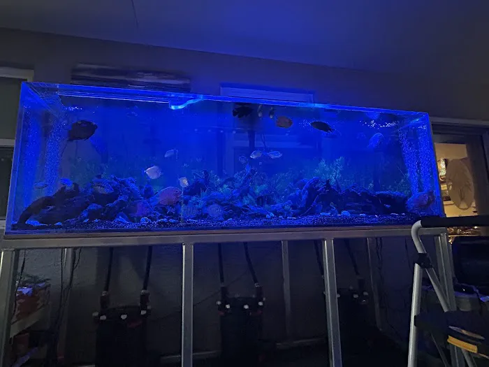 Suncoast Aquarium Inc Picture 2