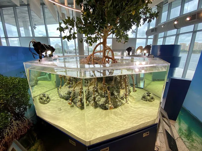Suncoast Aquarium Inc Picture 5