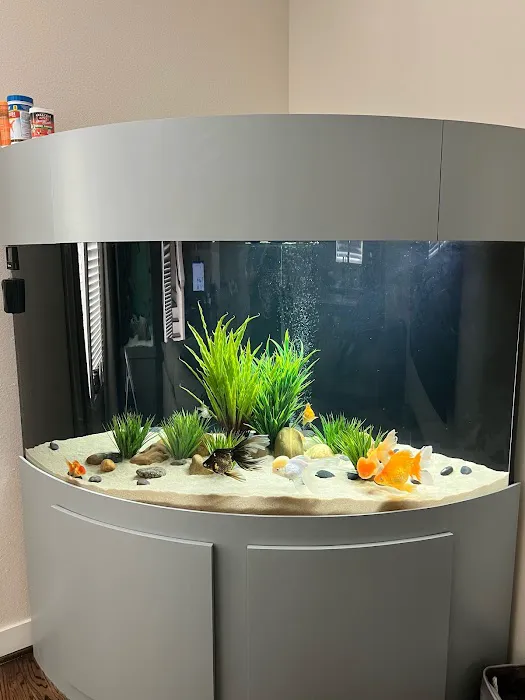 Suncoast Aquarium Inc Picture 3