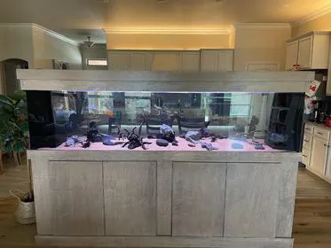 Suncoast Aquarium Inc Picture 9