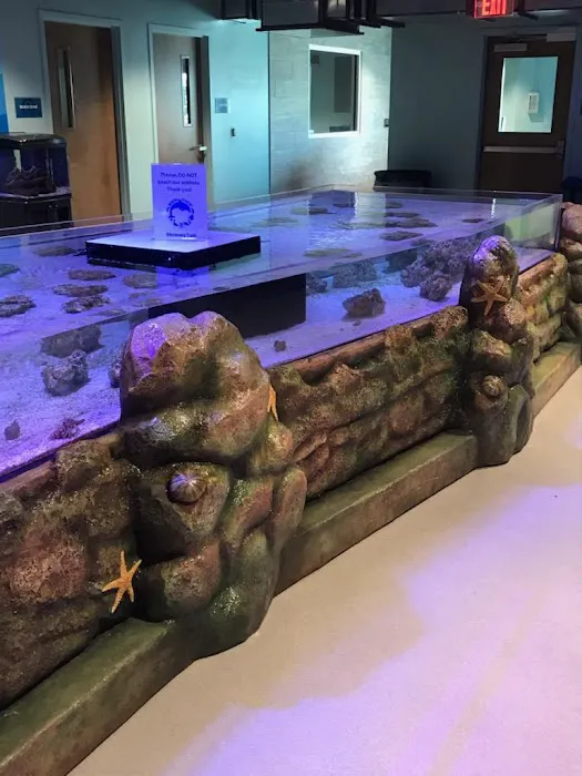 Suncoast Aquarium Inc Picture 7