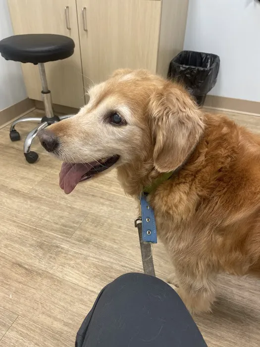 Veterinary Urgent Care Center - Easton Picture 2