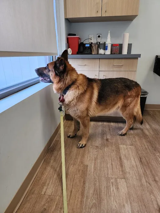 Veterinary Urgent Care Center - Easton Picture 1