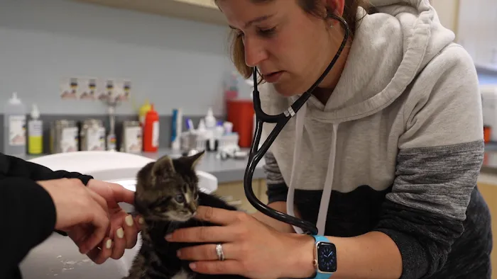 Veterinary Urgent Care Center - Easton Picture 3