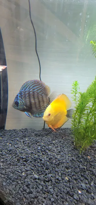 Shop Market Aquariums Picture 4
