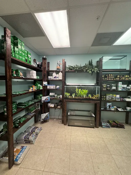 Shop Market Aquariums Picture 2