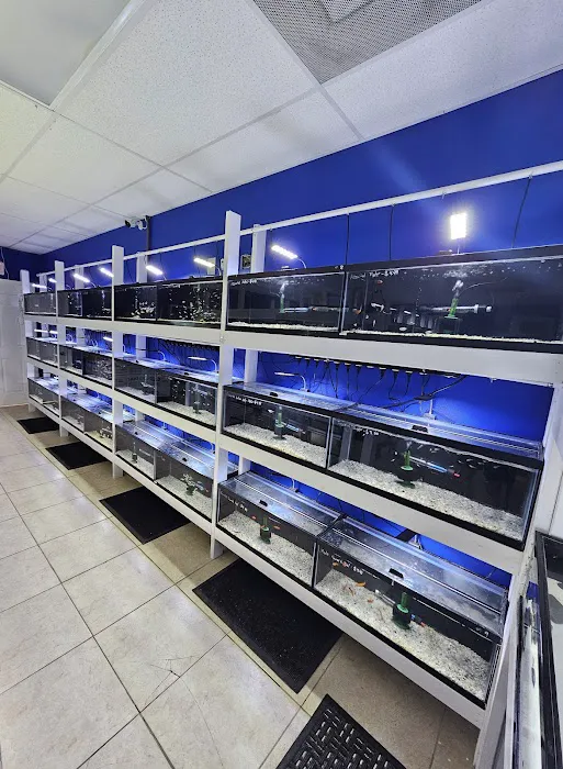 Shop Market Aquariums Picture 5