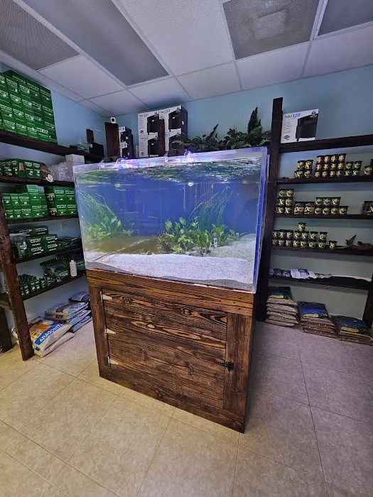 Shop Market Aquariums Picture 3