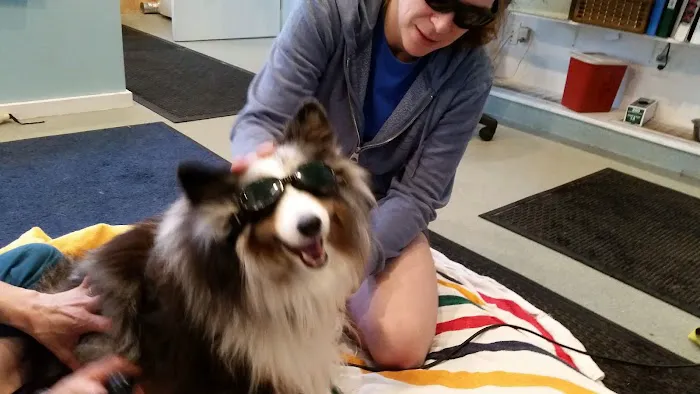 Animotion Animal Rehabilitation Picture 2