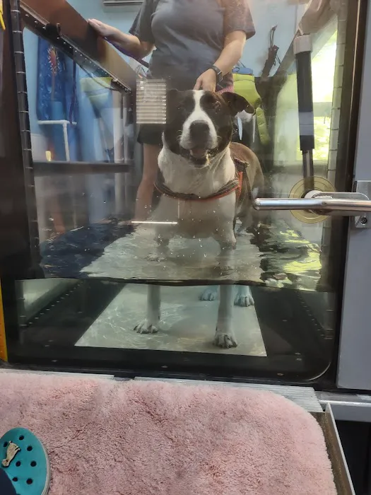 Animotion Animal Rehabilitation Picture 3