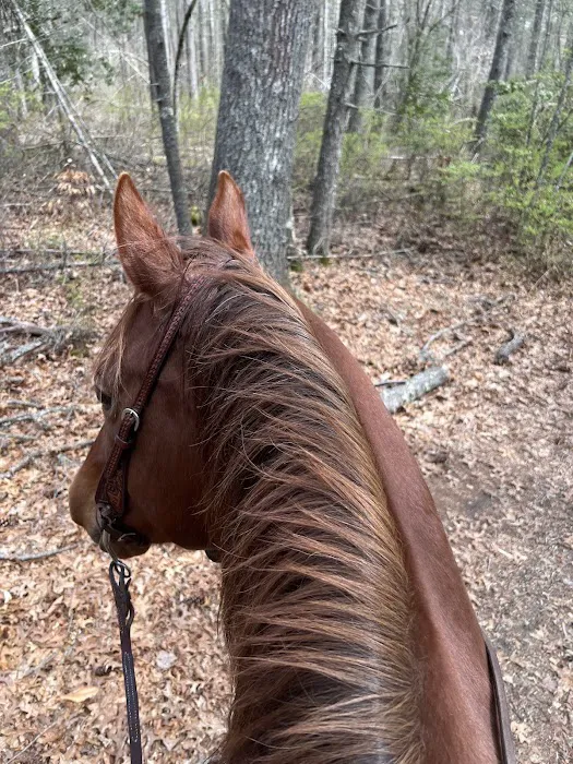 Highland Hill Vet Services LLC Picture 1