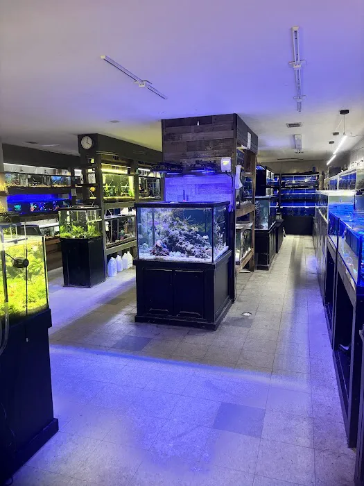 Aquarium World Picture 2