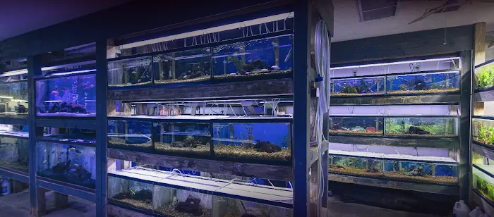 Aquarium World Picture 3