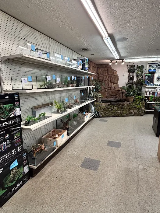 Aquarium World Picture 7