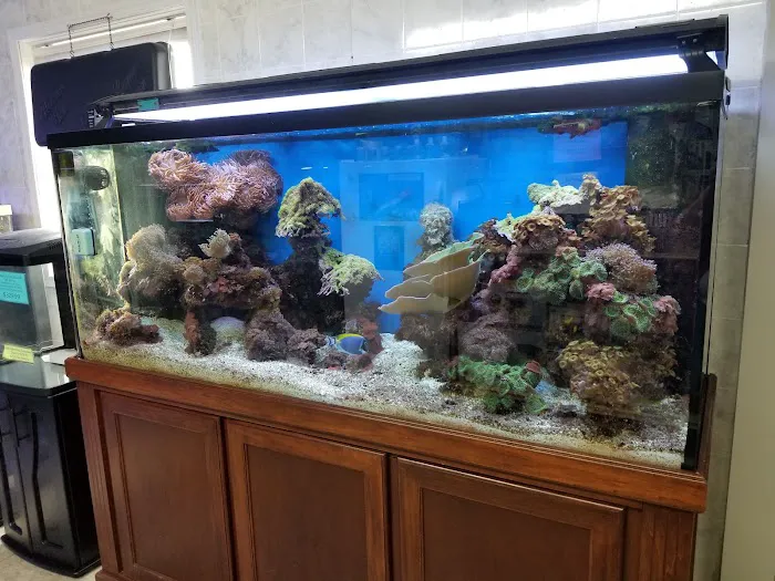 Aquarium World Picture 8