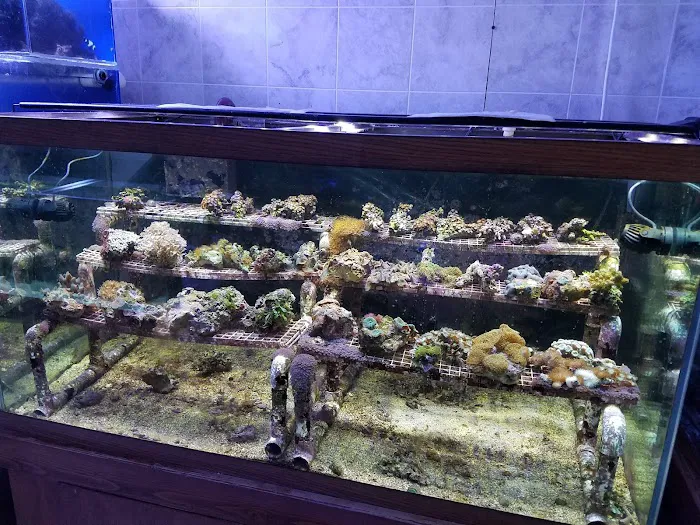 Aquarium World Picture 9