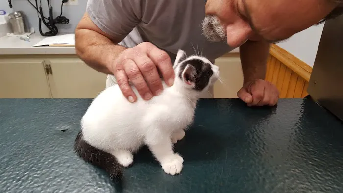 Middleboro Animal Clinic Picture 3